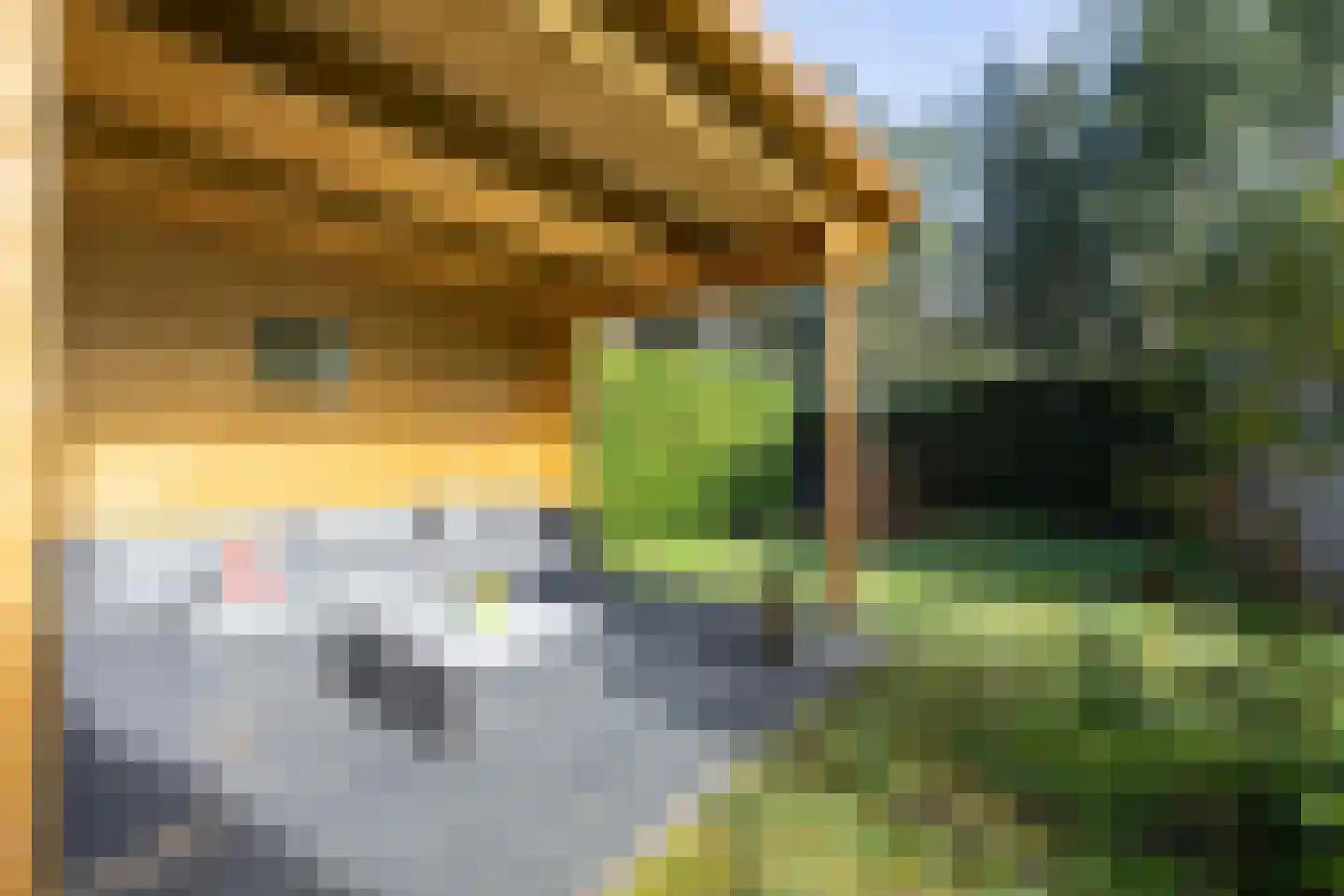 Nieuwe Prinsenweg 7 51 Putten thumbnail 8