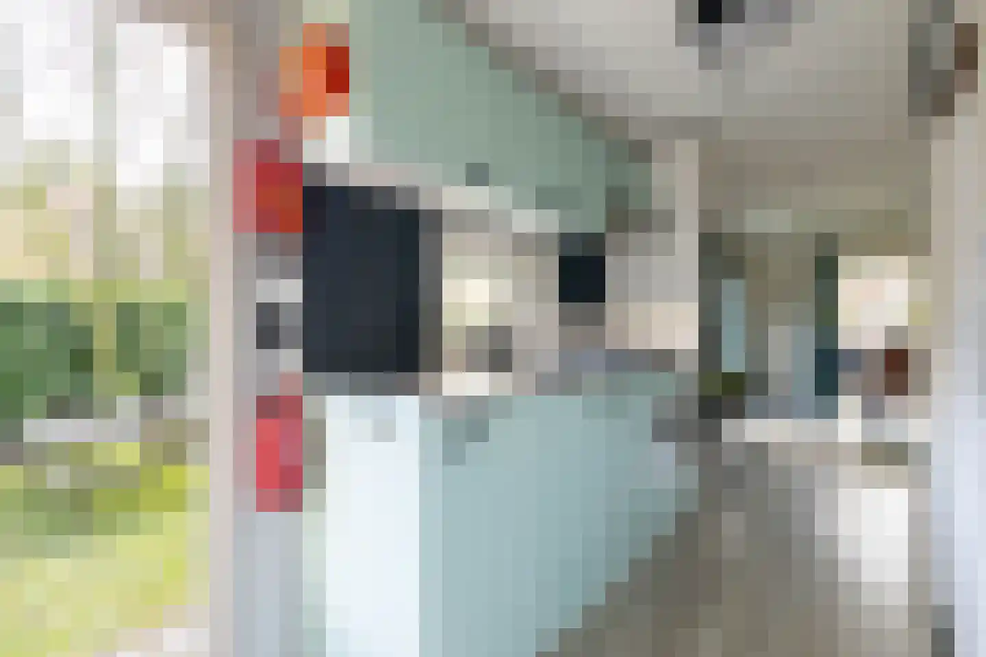 Nieuwe Prinsenweg 7 6 Putten thumbnail 5