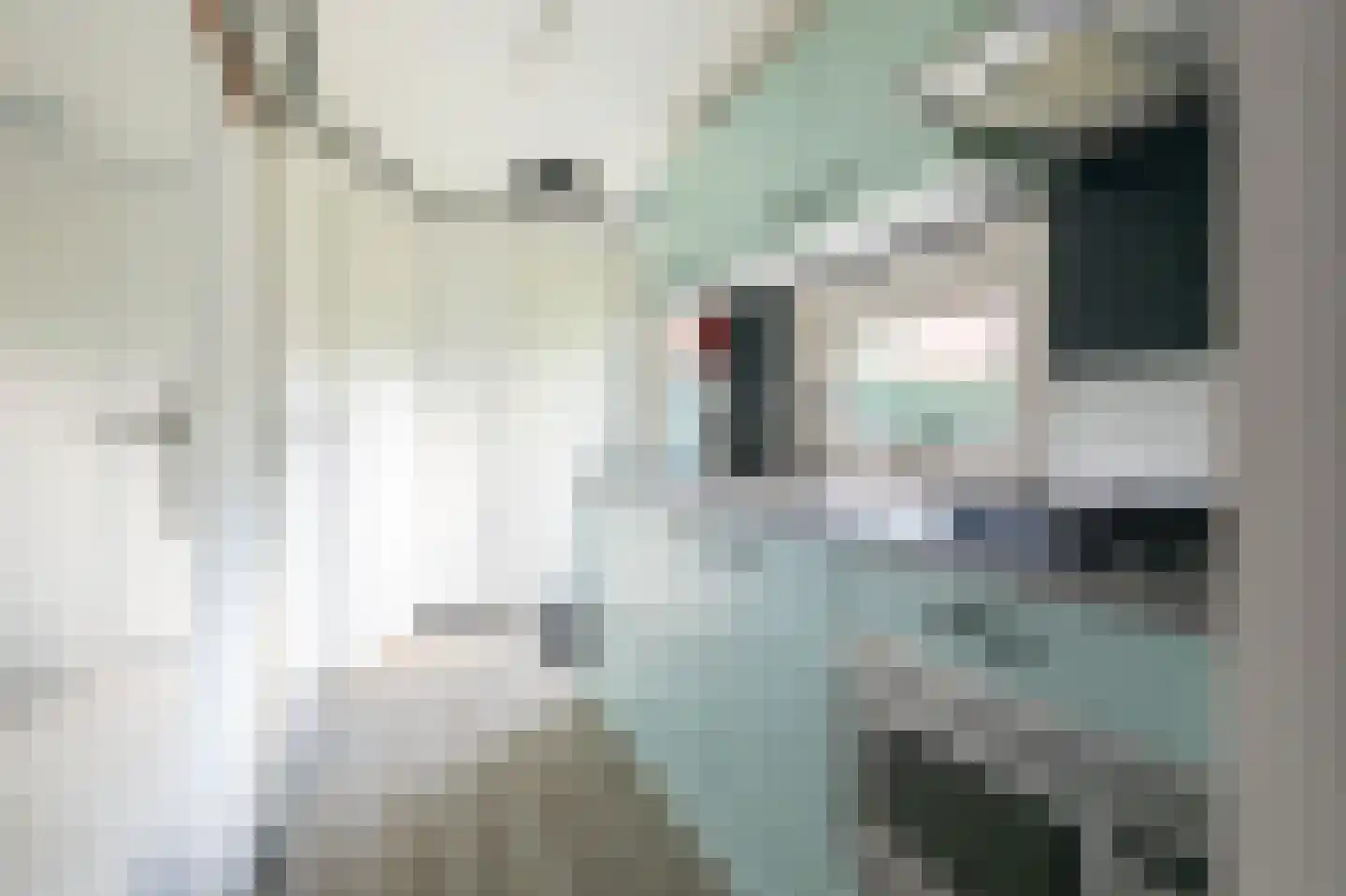 Nieuwe Prinsenweg 7 6 Putten thumbnail 7