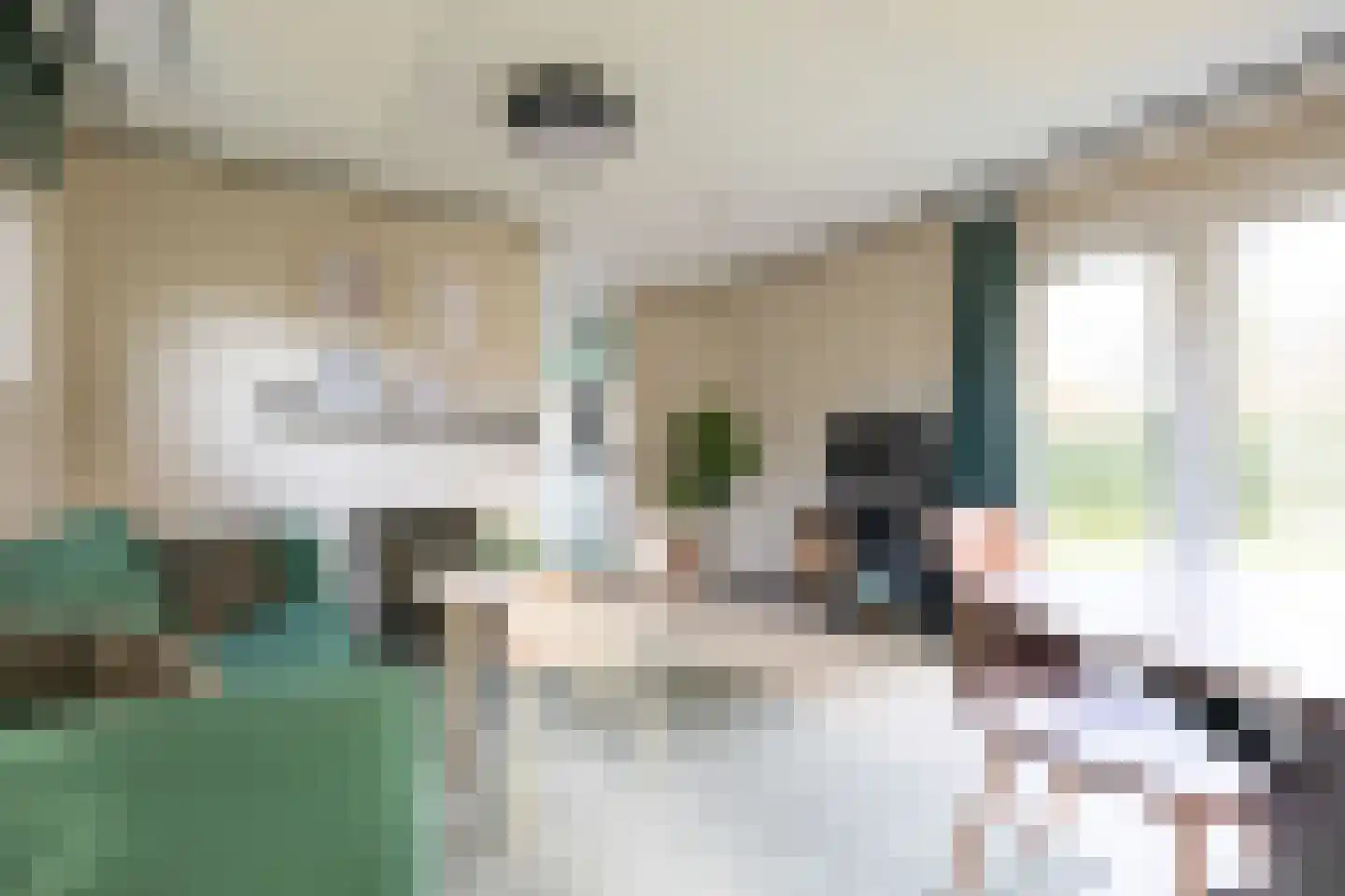 Nieuwe Prinsenweg 7 6 Putten thumbnail 8