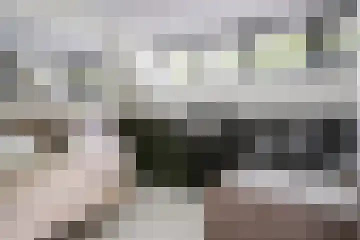 Nieuwe Provincialeweg 15 Maren-Kessel thumbnail 30