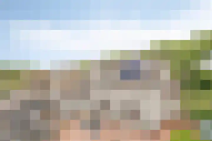 Nieuwe Provincialeweg 15 Maren-Kessel thumbnail 36