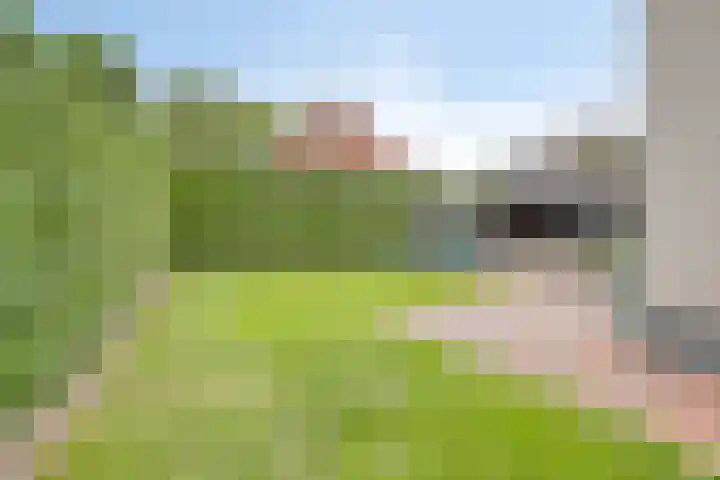 Nieuwe Provincialeweg 15 Maren-Kessel thumbnail 41