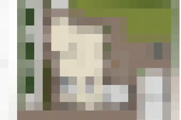 Nieuwe Provincialeweg 15 Maren-Kessel thumbnail 52