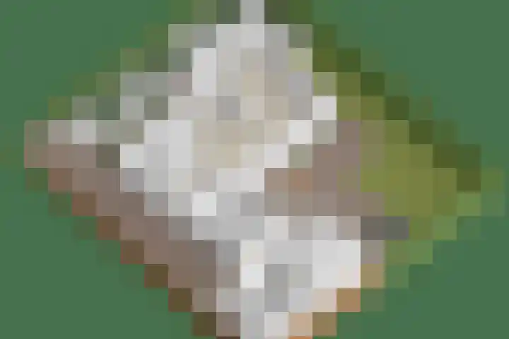 Nieuwe Provincialeweg 15 Maren-Kessel thumbnail 57