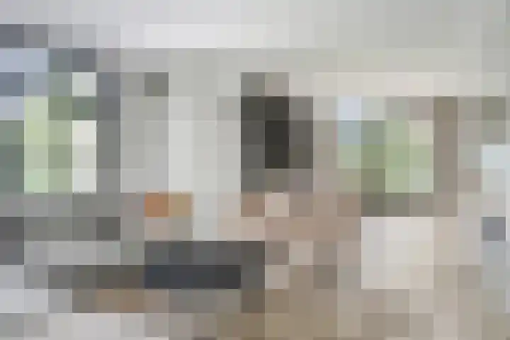 Nieuwe Provincialeweg 15 Maren-Kessel thumbnail 6