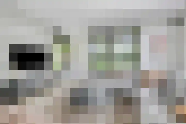 Nieuwe Provincialeweg 15 Maren-Kessel thumbnail 8
