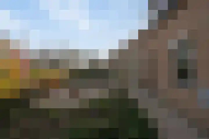 Nieuwe Provincialeweg 3 Maren-Kessel thumbnail 21