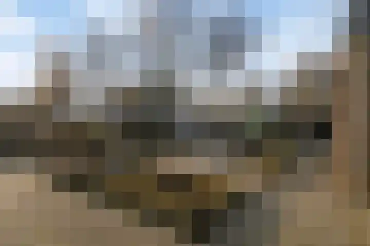 Nieuwe Provincialeweg 3 Maren-Kessel thumbnail 22