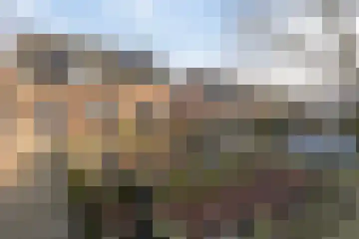 Nieuwe Provincialeweg 3 Maren-Kessel thumbnail 24