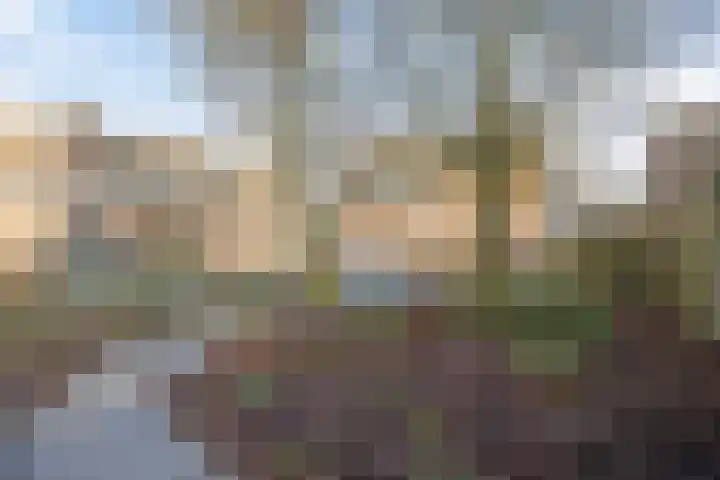 Nieuwe Provincialeweg 3 Maren-Kessel thumbnail 27