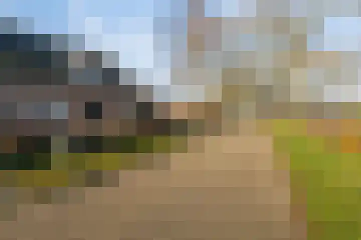Nieuwe Provincialeweg 3 Maren-Kessel thumbnail 46