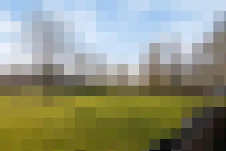 Nieuwe Provincialeweg 3 Maren-Kessel thumbnail 47