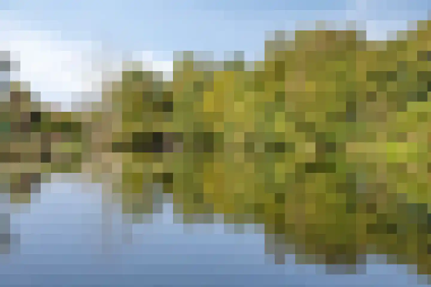 Nieuwe Purmerweg 108 Amsterdam thumbnail 19