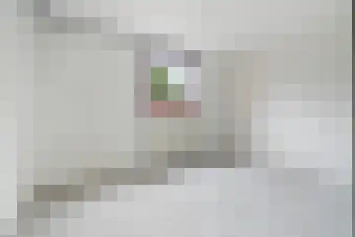Nieuwe Purmerweg 152 Amsterdam thumbnail 13
