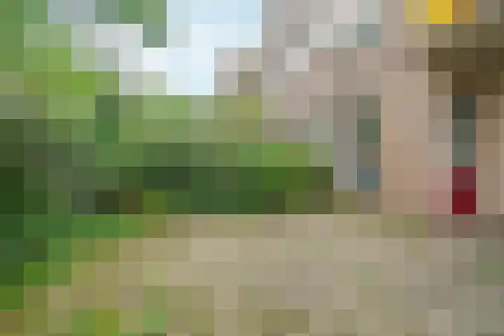 Nieuwe Purmerweg 152 Amsterdam thumbnail 7
