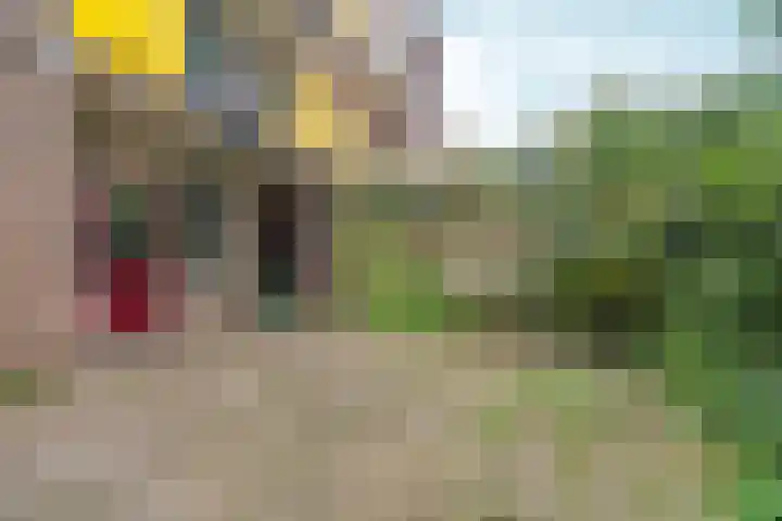 Nieuwe Purmerweg 152 Amsterdam thumbnail 8