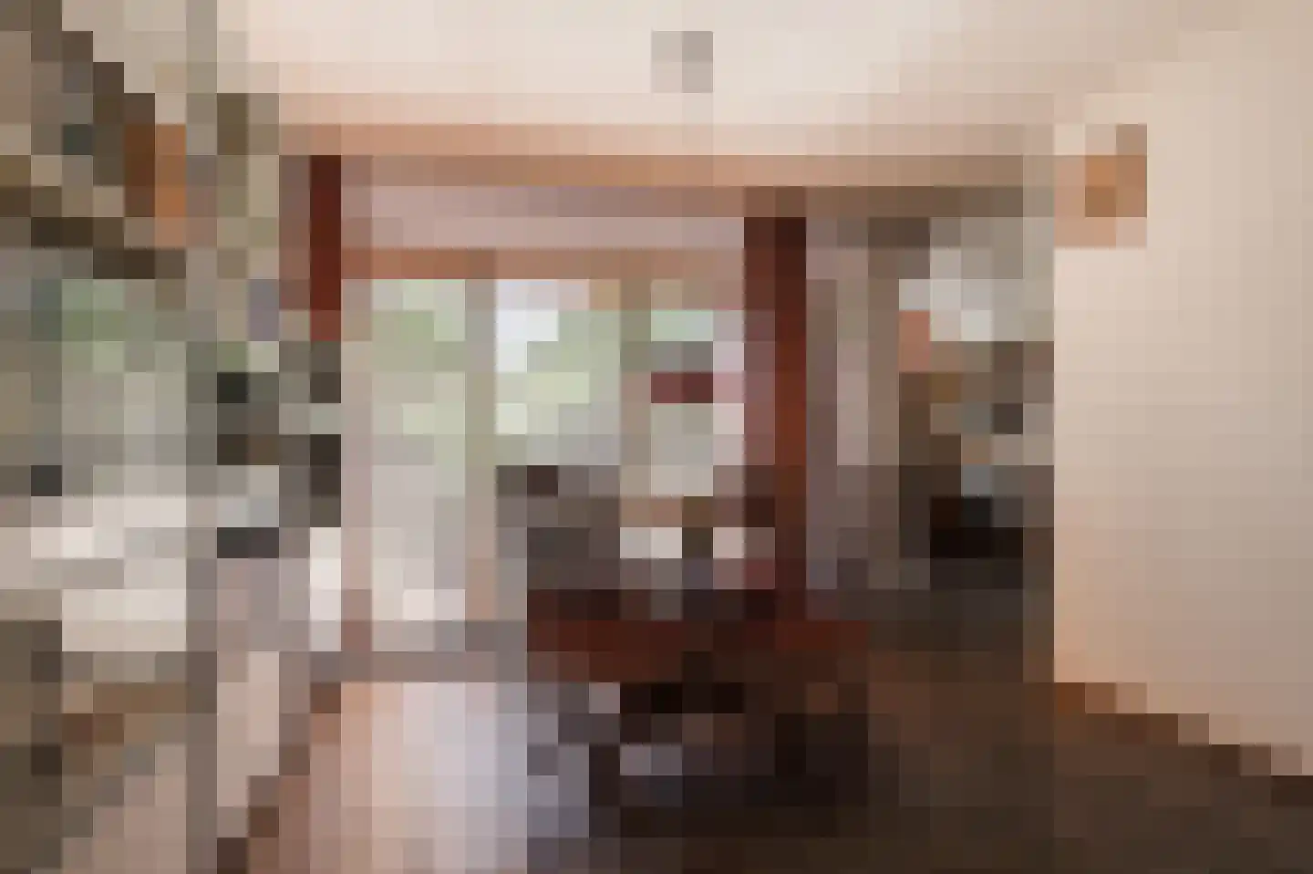 Nieuwe Pyramide 13 Wijk bij Duurstede thumbnail 10