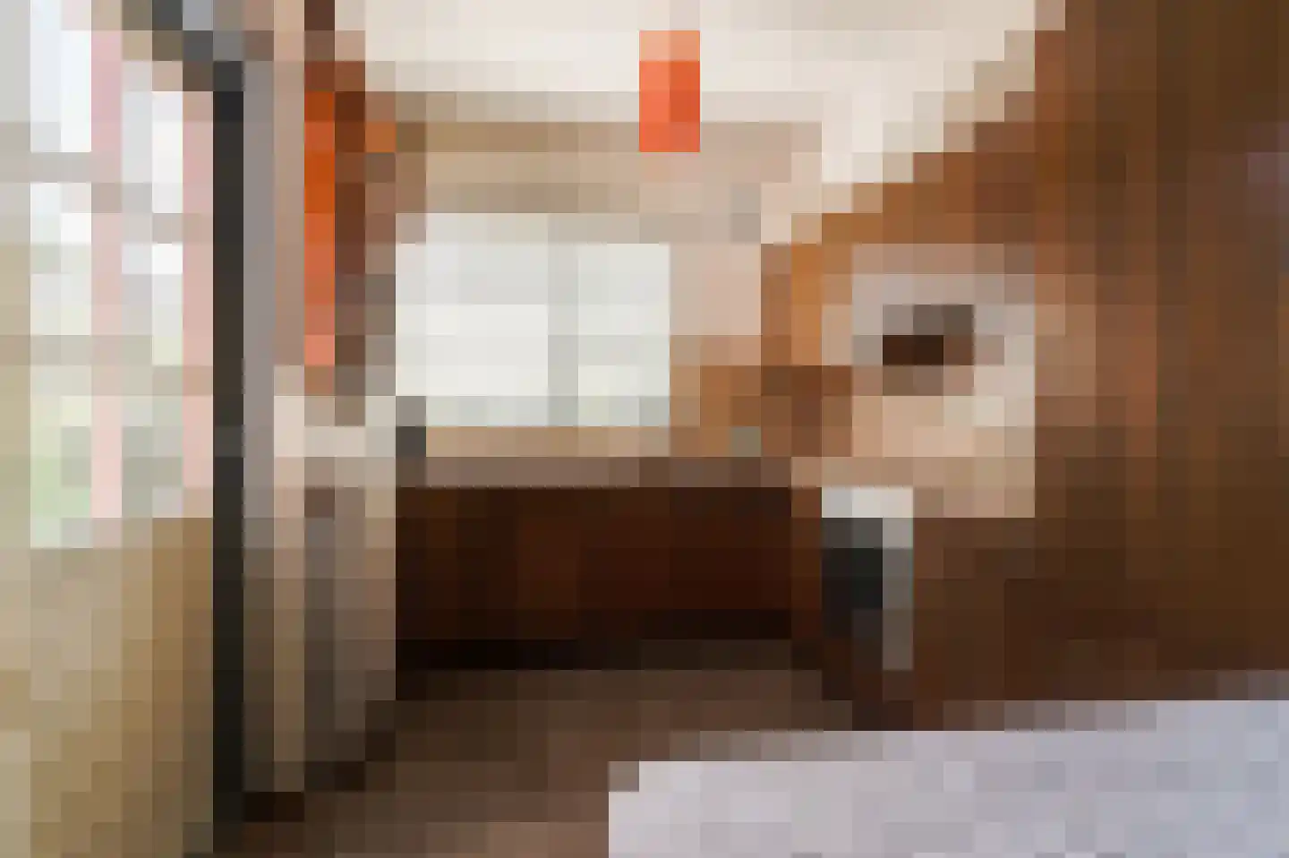 Nieuwe Pyramide 13 Wijk bij Duurstede thumbnail 13