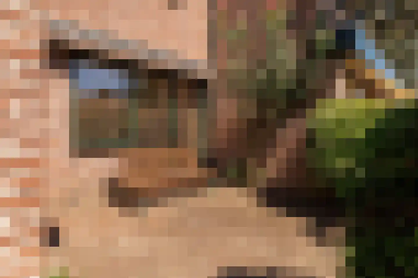 Nieuwe Pyramide 13 Wijk bij Duurstede thumbnail 15