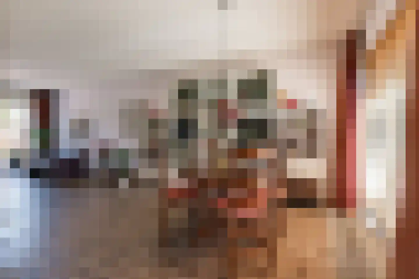 Nieuwe Pyramide 13 Wijk bij Duurstede thumbnail 16