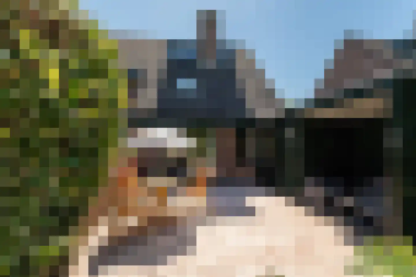Nieuwe Pyramide 13 Wijk bij Duurstede foto 2