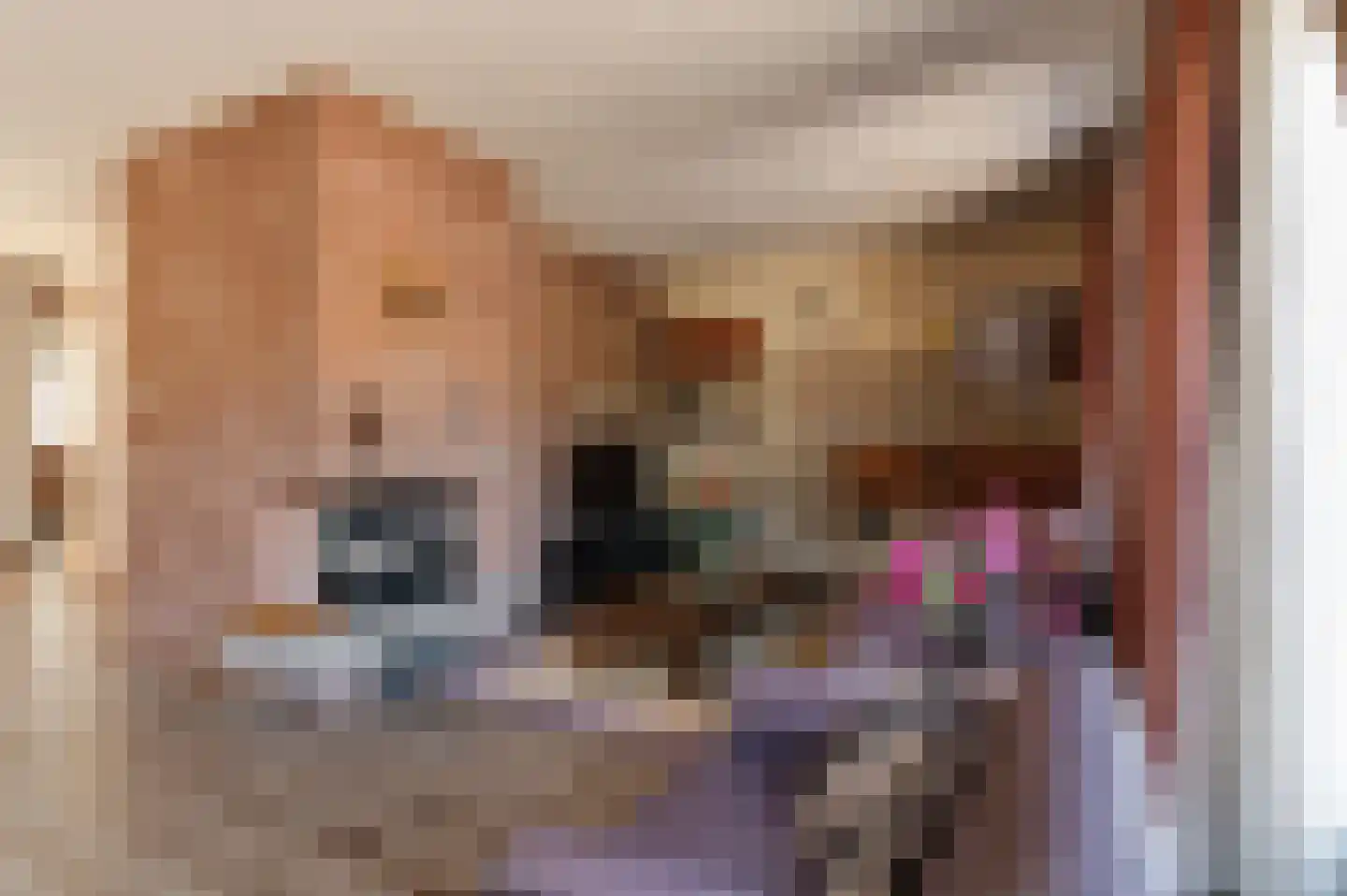Nieuwe Pyramide 13 Wijk bij Duurstede thumbnail 20