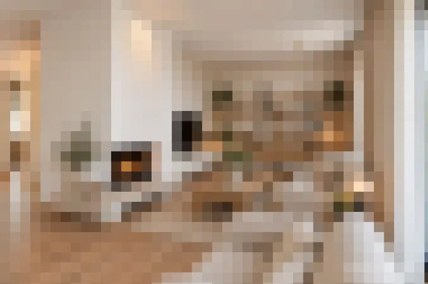 Nieuwe Pyramide 13 Wijk bij Duurstede thumbnail 22