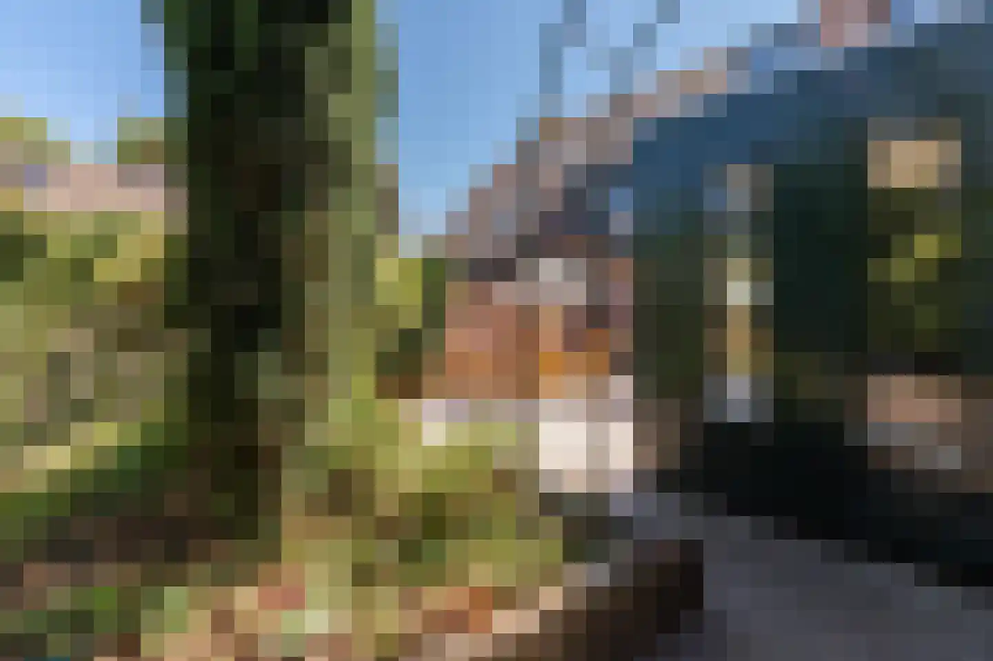 Nieuwe Pyramide 13 Wijk bij Duurstede thumbnail 25