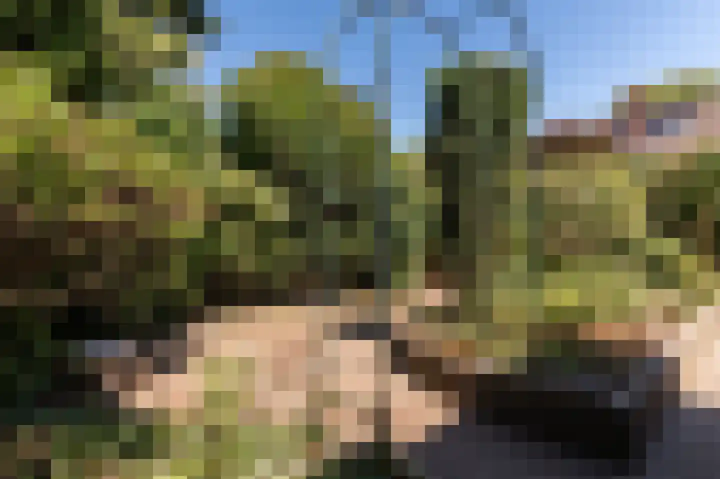 Nieuwe Pyramide 13 Wijk bij Duurstede thumbnail 26