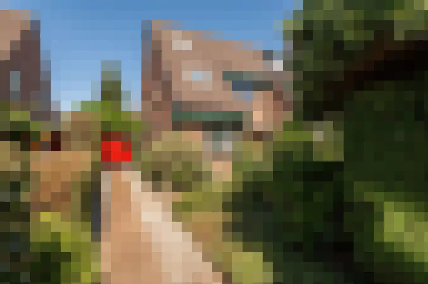 Nieuwe Pyramide 13 Wijk bij Duurstede thumbnail 4