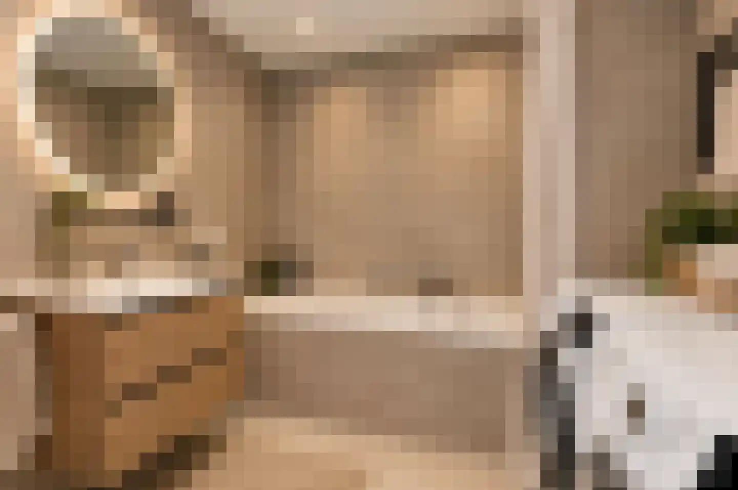 Nieuwe Pyramide 13 Wijk bij Duurstede thumbnail 41