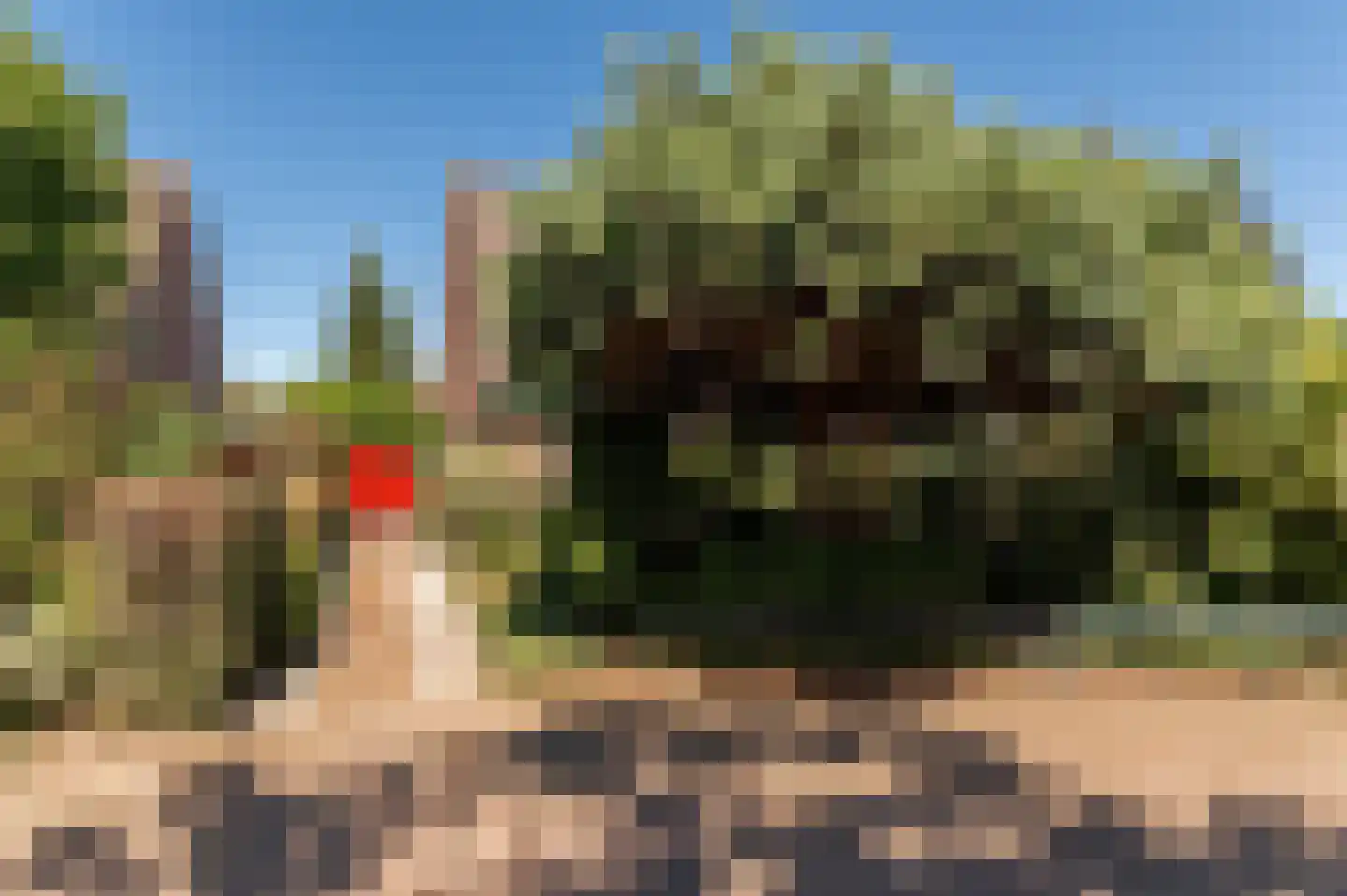 Nieuwe Pyramide 13 Wijk bij Duurstede thumbnail 47