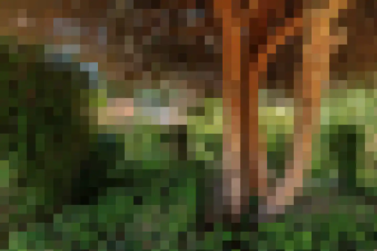 Nieuwe Pyramide 13 Wijk bij Duurstede thumbnail 48