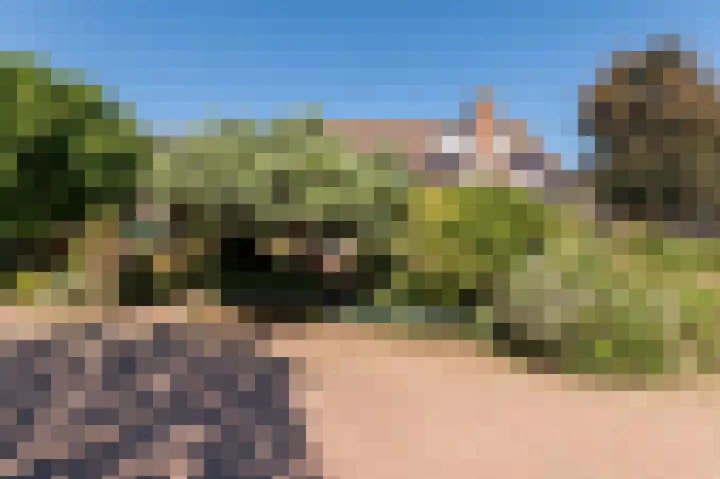 Nieuwe Pyramide 13 Wijk bij Duurstede thumbnail 49