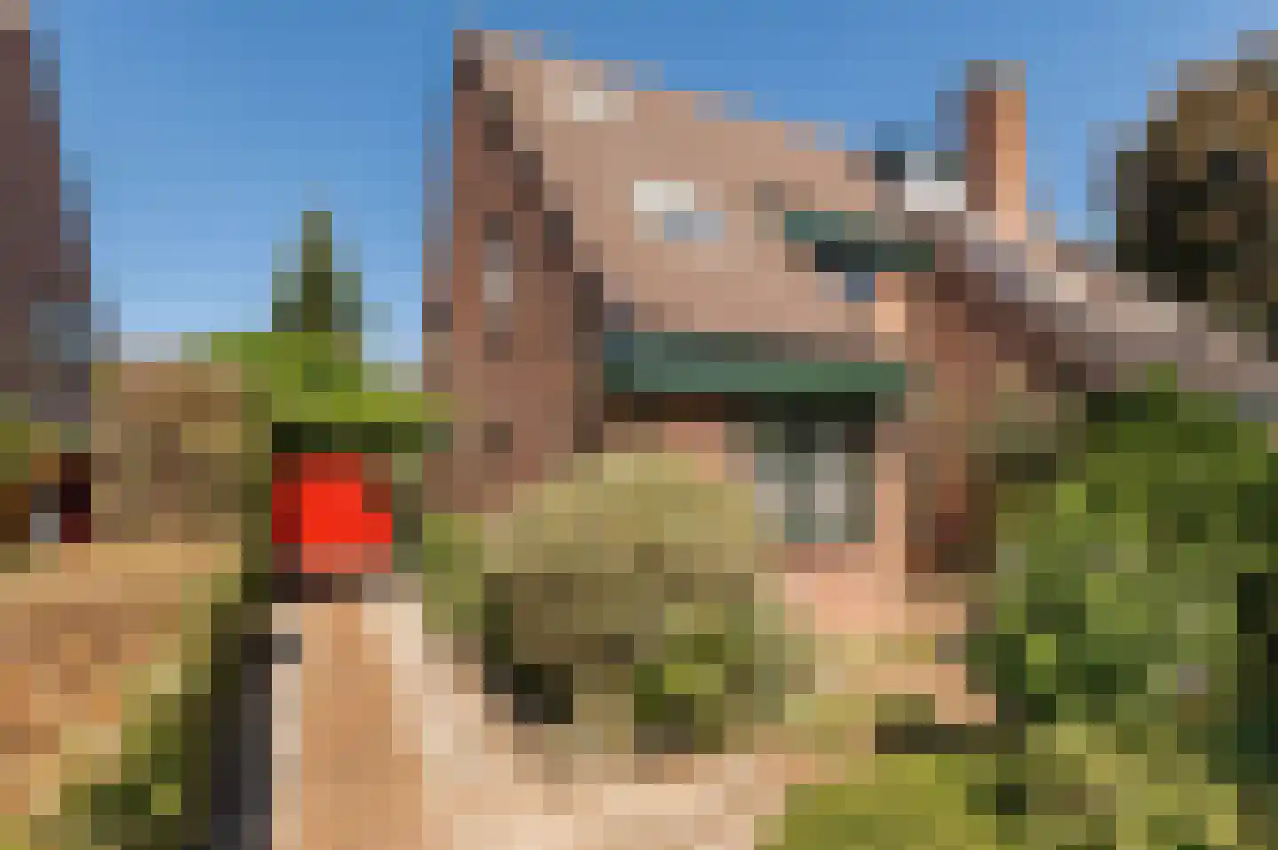 Nieuwe Pyramide 13 Wijk bij Duurstede thumbnail 5