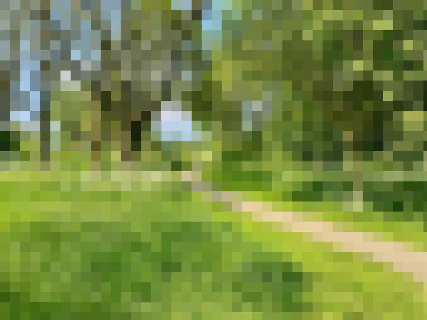 Nieuwe Pyramide 13 Wijk bij Duurstede thumbnail 50
