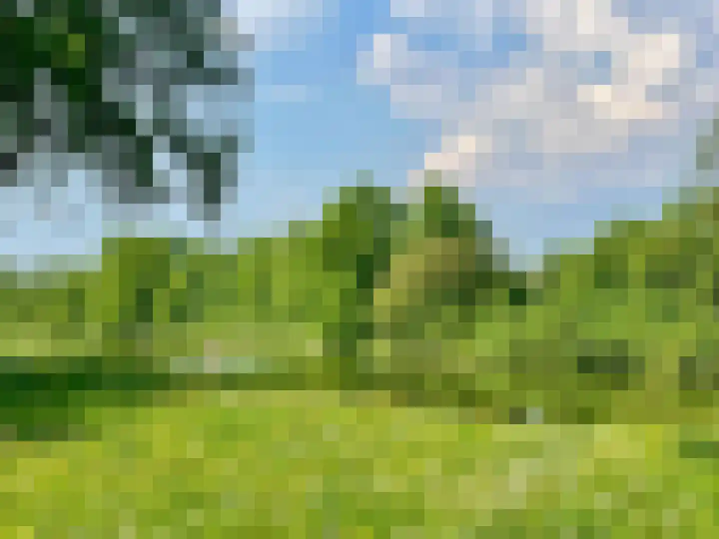 Nieuwe Pyramide 13 Wijk bij Duurstede thumbnail 51