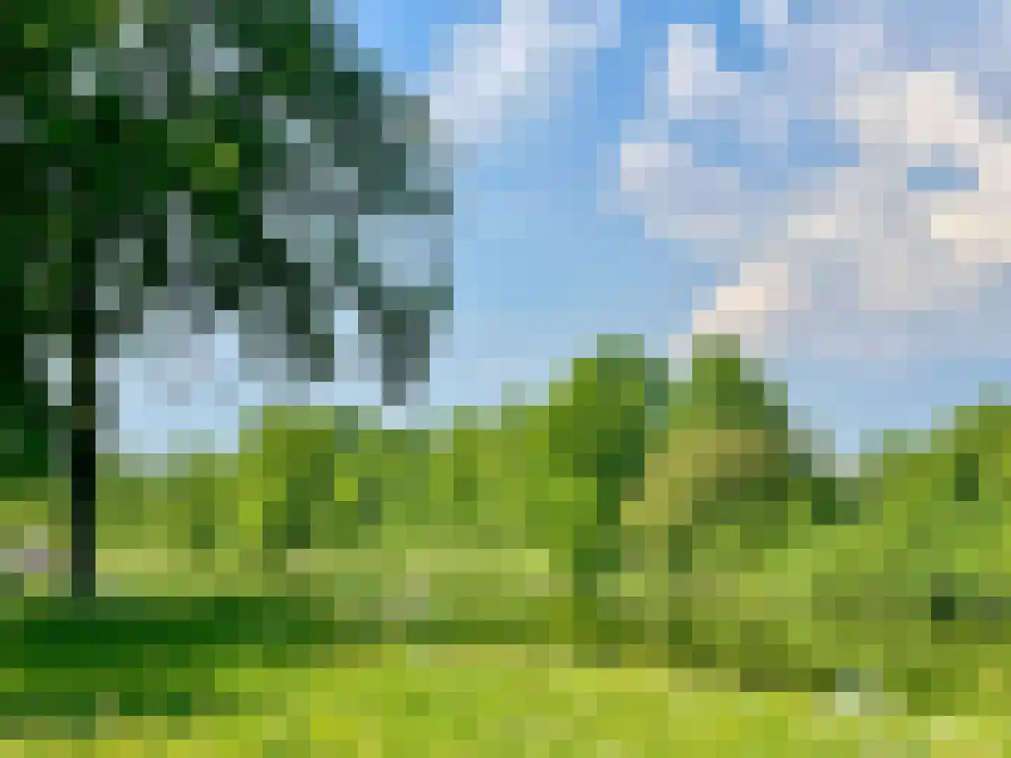 Nieuwe Pyramide 13 Wijk bij Duurstede thumbnail 52