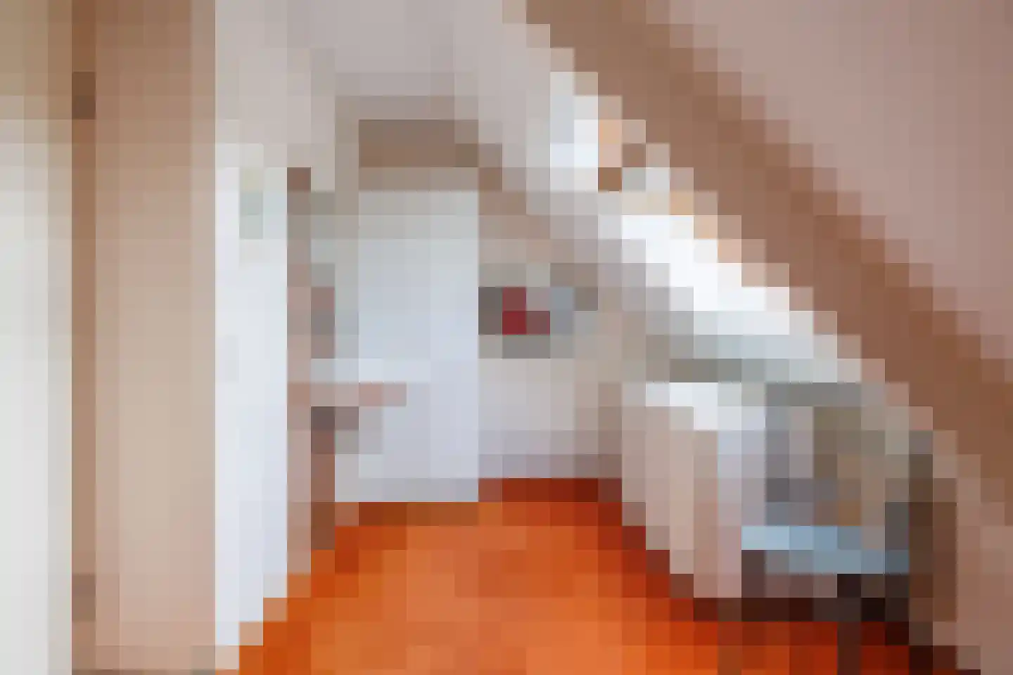 Nieuwe Pyramide 27 Wijk bij Duurstede thumbnail 32