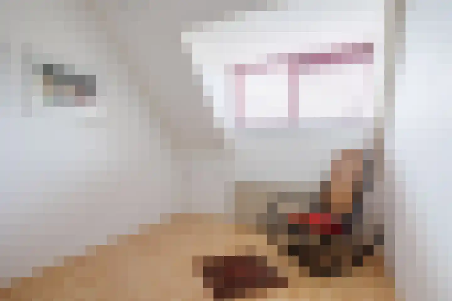 Nieuwe Pyramide 27 Wijk bij Duurstede thumbnail 39