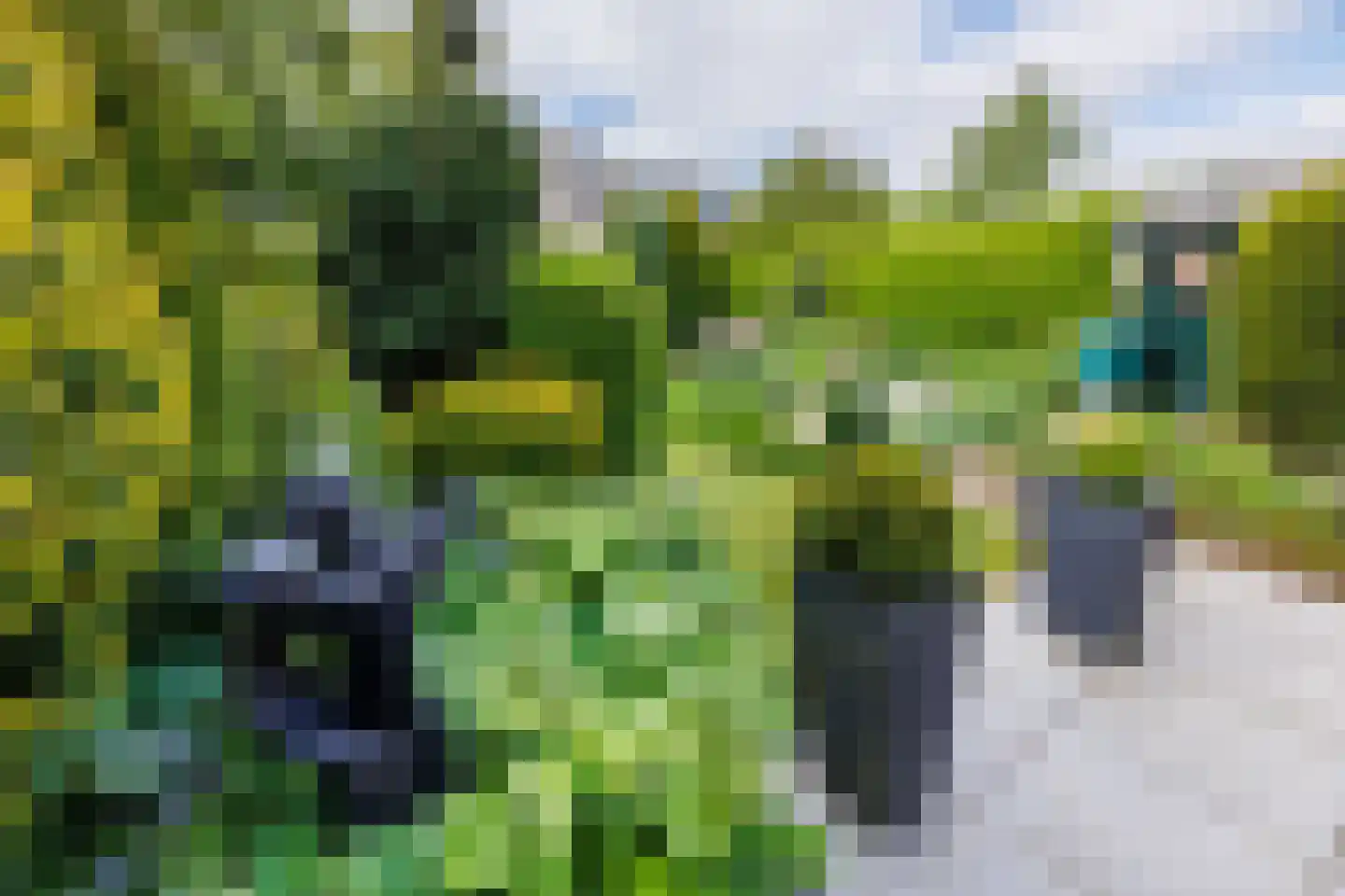 Nieuwe Pyramide 27 Wijk bij Duurstede thumbnail 46