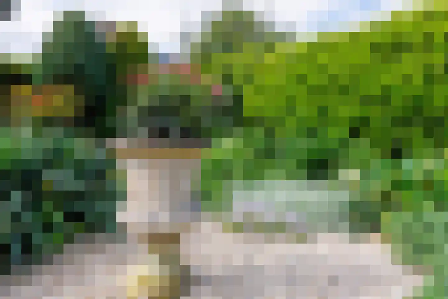 Nieuwe Pyramide 27 Wijk bij Duurstede thumbnail 48