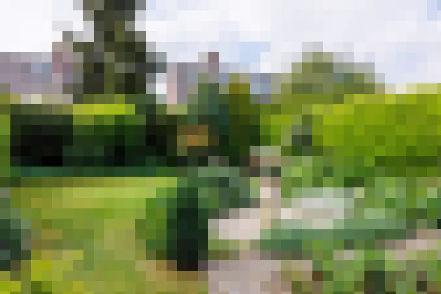 Nieuwe Pyramide 27 Wijk bij Duurstede thumbnail 49