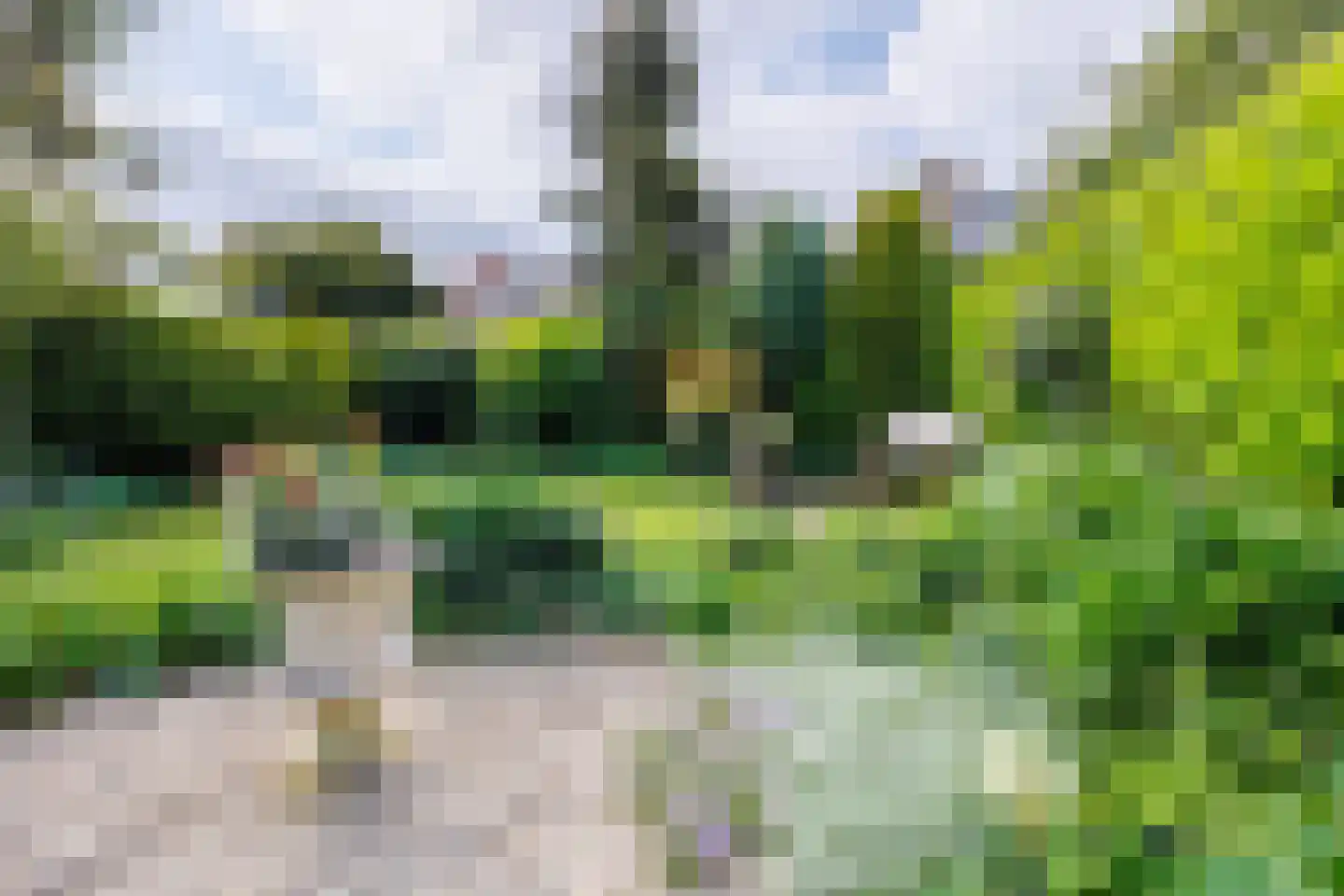 Nieuwe Pyramide 27 Wijk bij Duurstede thumbnail 50