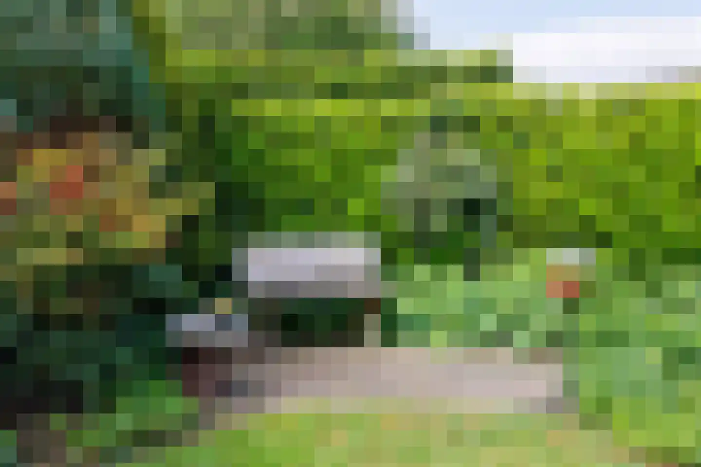 Nieuwe Pyramide 27 Wijk bij Duurstede thumbnail 51