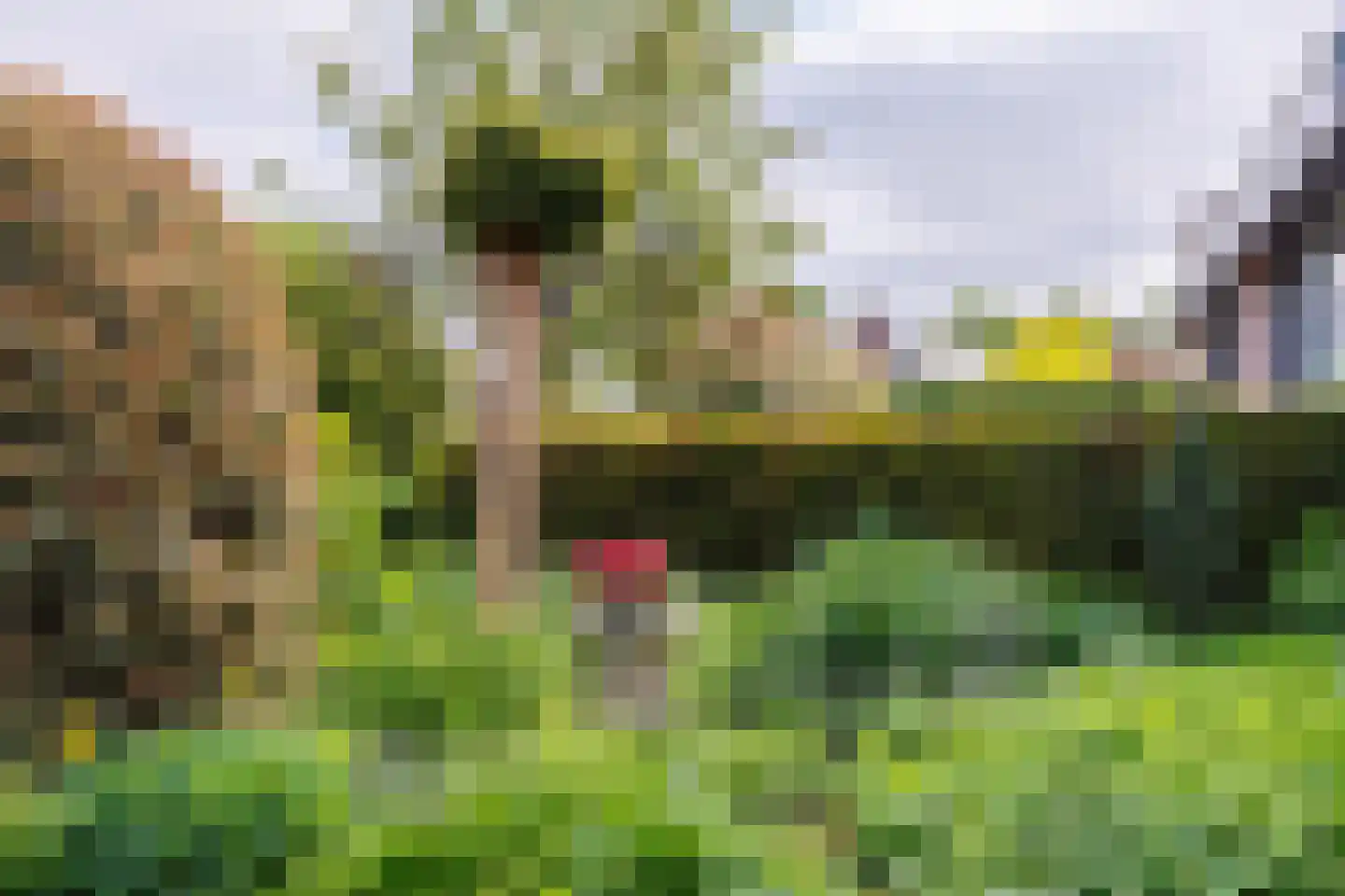 Nieuwe Pyramide 27 Wijk bij Duurstede thumbnail 54