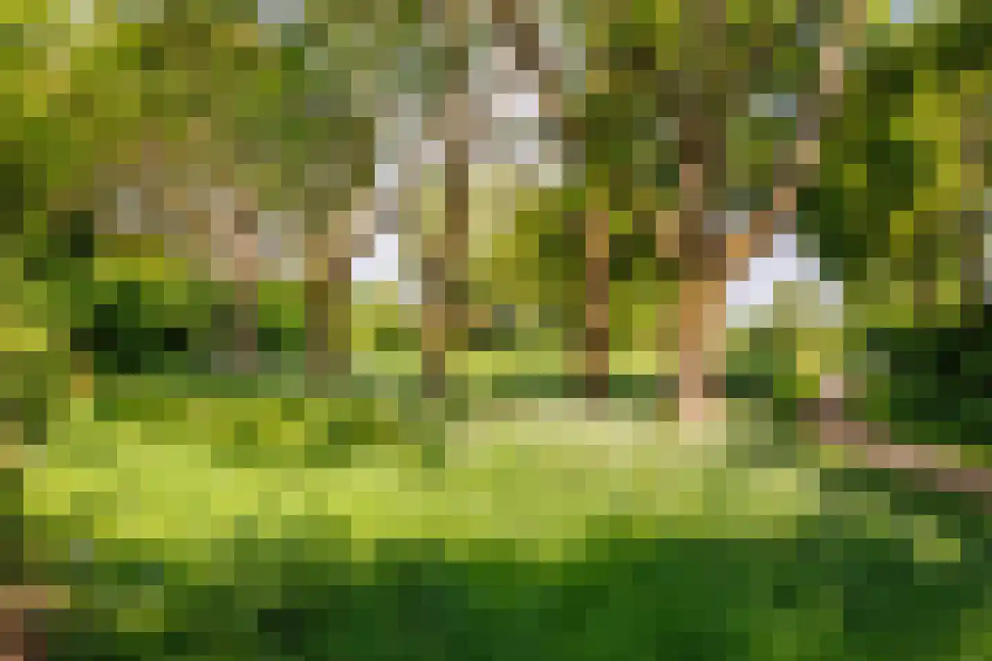 Nieuwe Pyramide 27 Wijk bij Duurstede thumbnail 56