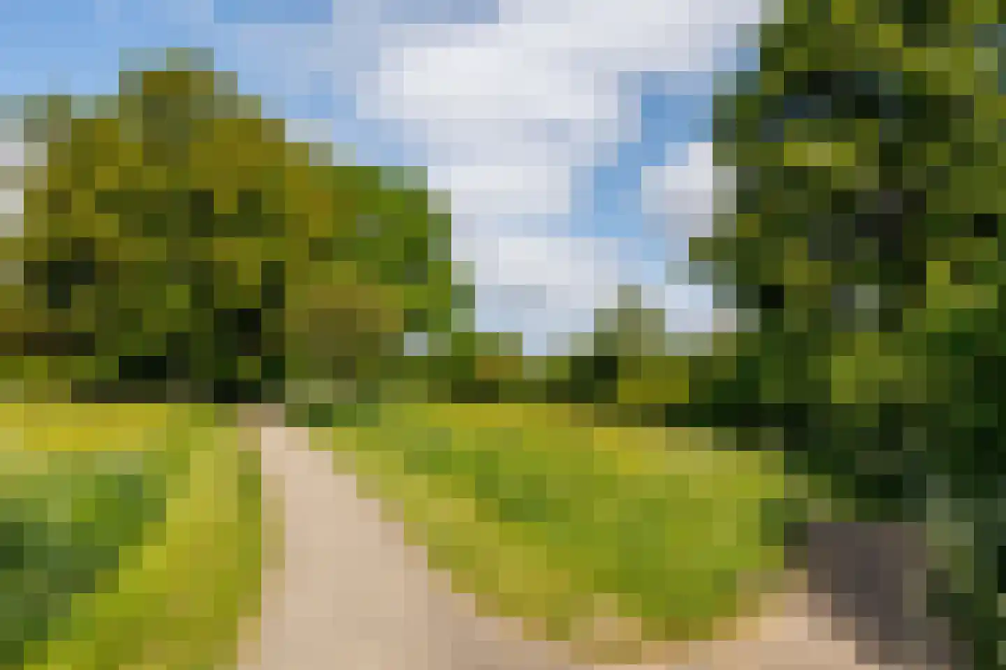 Nieuwe Pyramide 27 Wijk bij Duurstede thumbnail 57