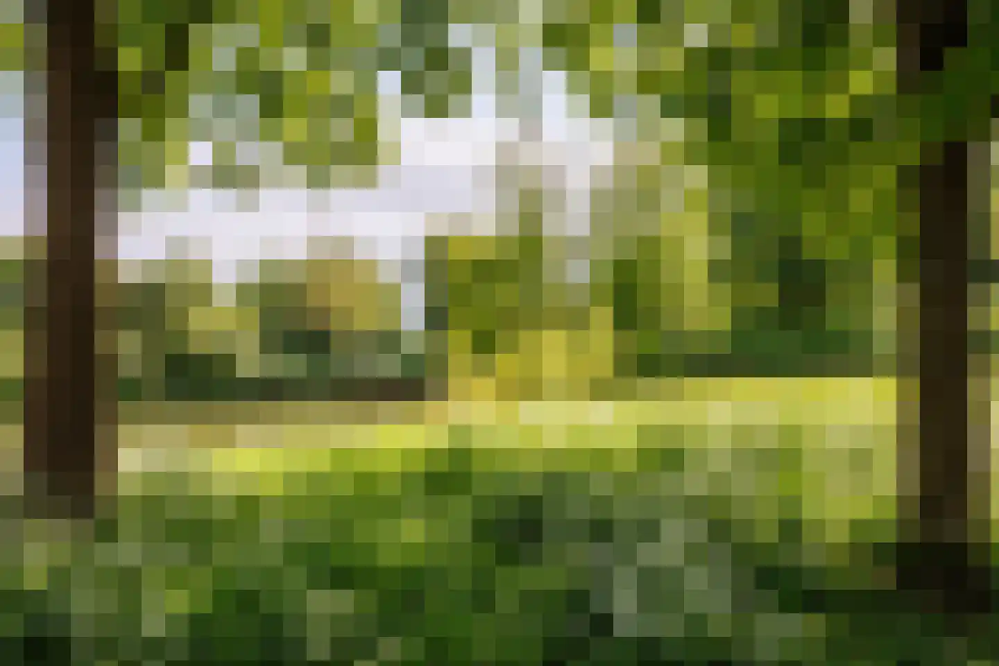 Nieuwe Pyramide 27 Wijk bij Duurstede thumbnail 58